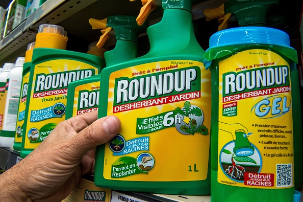 L'ingrédient actif du Roundup, le glyphosate, a été classé comme "probablement cancérogène pour l'homme" par le Centre international de recherche sur le cancer (CIRC) de l'ONU. (Photo : PHILIPPE HUGUEN/AFP/Getty Images)