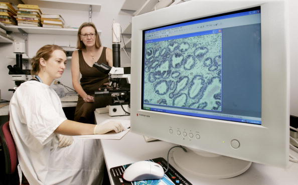 -Illustration- L’équipe exclusivement féminine de l’Université Monash de Melbourne a associé des cellules souches embryonnaires humaines à des cellules de la prostate de souris et les a implantées dans des souris. Photo WILLIAM WEST/AFP/Getty Images.