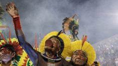 Amazonie : le chef indien Raoni reçu par Macron jeudi