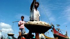 Le Bangladesh interdit la pêche en mer pour deux mois, un record