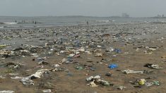 90 % des déchets plastique dans les océans proviennent de seulement dix fleuves en Asie et en Afrique