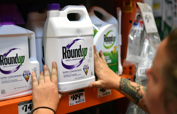 les produits Roundup sur une étagère d'un magasin à San Rafael, Californie, le 9 juillet 2018.(Photo : JOSH EDELSON / AFP)