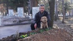 Un chien triste s’enfuit de la maison tous les jours, alors son nouveau propriétaire le suit jusqu’au cimetière