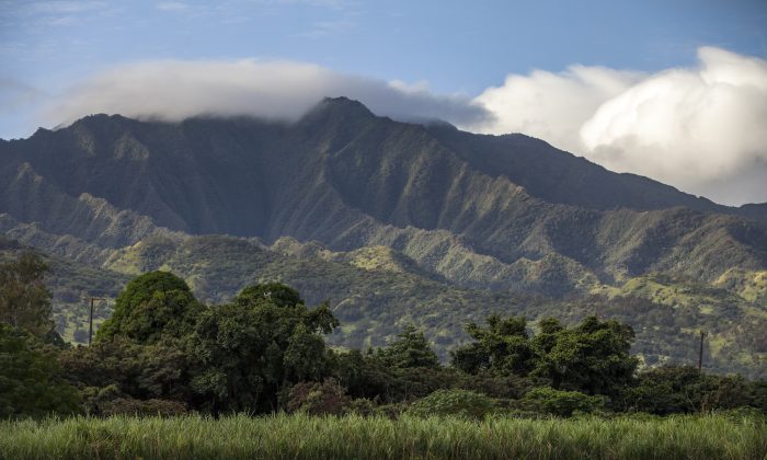 Un paysage d'Hawaii (photo offerte gracieusement par KoHana Distillers)