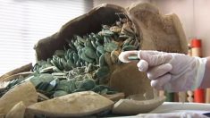 Des ouvriers espagnols déterrent par hasard 19 urnes romaines remplies de pièces antiques