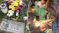Une femme ayant perdu un bébé de 5 semaines éprouve une véritable joie à l’arrivée d’un fils adoptif