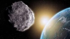 Les dirigeants de la NASA disent qu’un astéroïde majeur pourrait s’écraser sur Terre à l’avenir