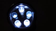 Les LED riches en lumière bleue néfastes pour notre santé (agence sanitaire)