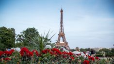 Le site de la Tour Eiffel piétonnisé et végétalisé d’ici 2024
