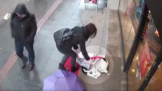 Une vidéo émouvante d’une femme bienveillante offrant de la chaleur à un chien errant qui frissonne dans le froid, devient virale