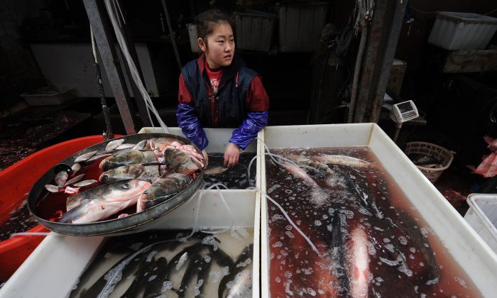 Un vendeur chinois de fruits de mer sur un marché à Hefei, dans la province d'Anhui, le 23 décembre 2010. Un scientifique chinois a fait la lumière sur les abus d'antibiotiques dans l'industrie aquacole chinoise. (STR/AFP/Getty Images)