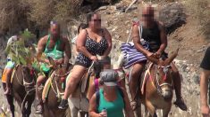 Des défenseurs des animaux contre l’exploitation des ânes de Santorin