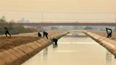 Un Mexicain sauve un nouveau-né abandonné à proximité d’un canal et ayant encore son cordon ombilical