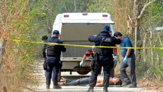 Colombie/drogue : un réseau lié aux cartels mexicains et à la mafia italienne démantelé