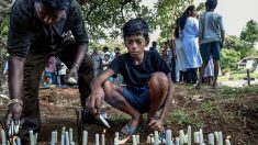 Arrestation d’un des responsables présumés des attentats au Sri Lanka