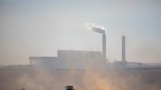 Dans l’Afrique du Sud charbonnière, la population prisonnière d’une pollution mortelle