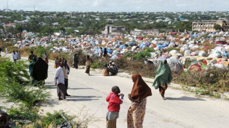 Risque de famine en Somalie à cause de la sécheresse, selon l’ONU
