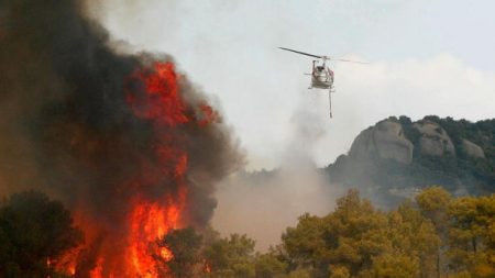 Espagne: incendie de forêt en Catalogne