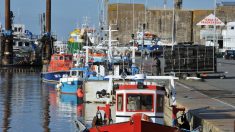 Pêche: les Etats membres de l’UE soutiennent une subvention pour le renouvellement des bateaux