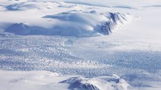 Non, le Groenland n’a pas perdu 40 % de sa glace en 24 heures le 13 juin, c’était seulement 0,0001%