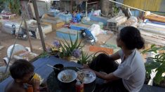 Au Cambodge, un bidonville au milieu des tombes