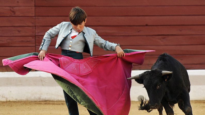 Miguelito, 10 ans, sur une photo lors d'une corrida de jeunes taureaux en 2008. (JEAN-PIERRE MULLER/AFP/Getty Images)