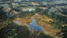 Canada: persistance du DDT dans des lacs, près de 50 ans après son interdiction (étude)