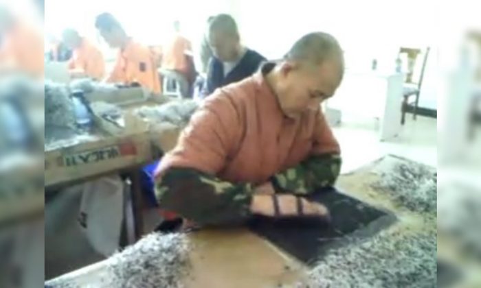 Vidéo filmée en secret dans le camp de travaux forcés de Masanjia, en Chine, montrant des détenus fabriquant des diodes pendant les Jeux olympiques de Pékin en 2008. (Photo de Yu Ming)