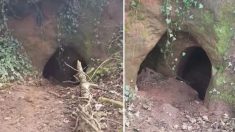 Dans un champ de fermier, un terrier de lapin mène à de mystérieuses grottes