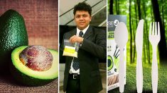 Un génie mexicain transforme les noyaux d’avocat en fourchettes, cuillères, couteaux et pailles en plastique 100% biodégradables