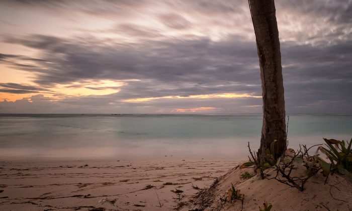 Une plage en République Dominicaine dans un fichier photo. (Joe deSousa/Domaine public via Flickr)