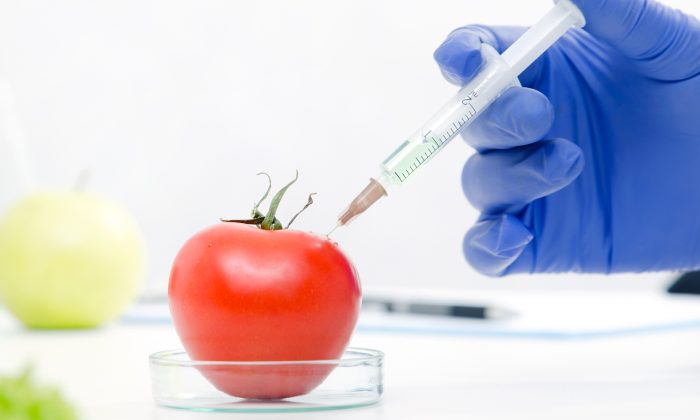 Les aliments génétiquement modifiés comportent des risques connus et inconnus. (Proxima Studio/Shutterstock)