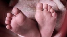 Une mère met en garde les parents après que le cerveau de son bébé a été endommagé suite à une chute de son lit : « Il n’est plus le même »
