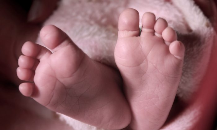 Stock Photo baby feet