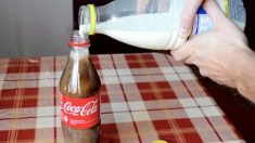 Avez-vous déjà essayé de mélanger du lait avec du Coca-Cola? Le résultat pourrait changer ce que vous buvez chaque jour