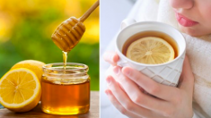 Voici ce qui arrive à votre corps si vous buvez de l’eau citronnée au miel chaque matin pendant 30 jours