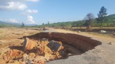 L’exploitation forestière illégale faite par des entreprises chinoises rend le Mozambique plus vulnérable aux cyclones