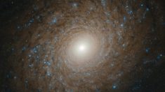 Une superbe galaxie spirale repérée par Hubble à plus de 70 millions d’années-lumière de notre système solaire