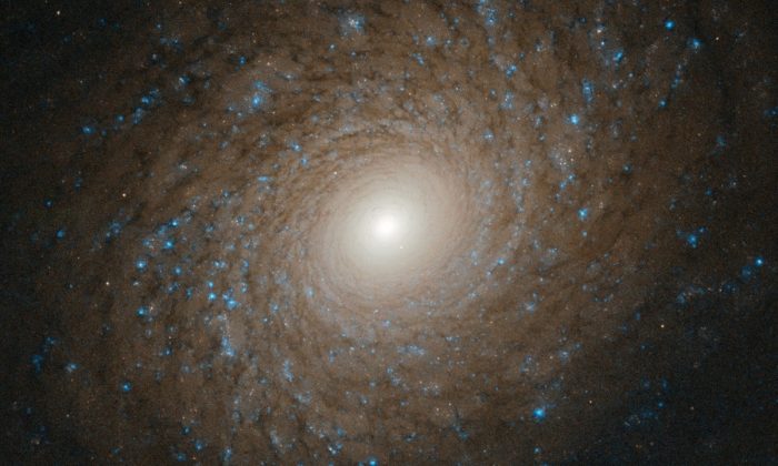À plus de 70 millions d'années-lumière de notre système solaire se trouve une étonnante galaxie spirale récemment observée par le télescope spatial Hubble. (ESA/Hubble & NASA, L. Ho via CNN)
