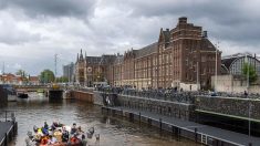 Les croisières sur les canaux d’Amsterdam se réinventent avec la pêche au plastique