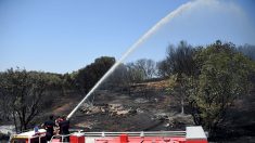 Incendie dans le Gard : plus de 488 hectares partis en fumée