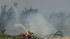 Incendies : plus de 2 500 vacanciers évacués de trois campings à Argelès-sur-Mer