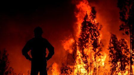Mobilisation exceptionnelle pour lutter contre un vaste incendie au Portugal