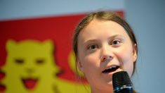 La venue de Greta Thunberg à l’Assemblée ne passe pas pour une partie de la droite: « La planète, oui. Le greenbusiness, non »
