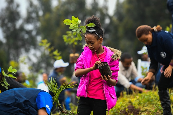 -Une jeune fille éthiopienne participe à une campagne nationale de plantation d'arbres dans la capitale, Addis-Abeba, le 28 juillet 2019. L'Éthiopie envisage de planter quatre milliards d'arbres d'ici à octobre 2019, dans le cadre d'un mouvement mondial de restauration des forêts. Photo de MICHAEL TEWELDE / AFP / Getty Images.