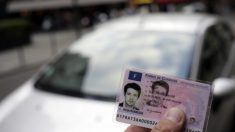 Passer le permis de conduire en conduite accompagnée à 17 ans ? Possible dès lundi