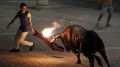 Espagne : le supplice insoutenable d’un taureau, les cornes en feu