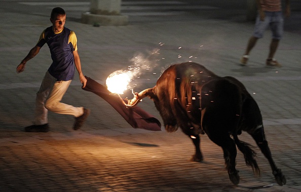 Espagne : un taureau de feu avec des boules de matière inflammable attachées à ses cornes.    (Photo : JOSE JORDAN/AFP/Getty Images)