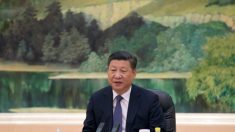 Xi Jinping et le paradoxe du pouvoir