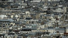 À Paris, concilier patrimoine architectural et adaptation aux canicules